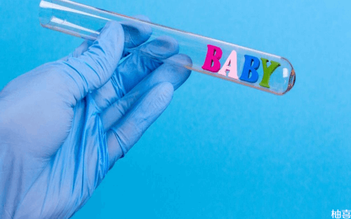 孕妇六个月食谱，怀孕六个月吃什么最好?