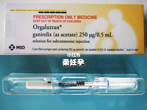 借卵助孕公司-怀孕三个月饮食食谱