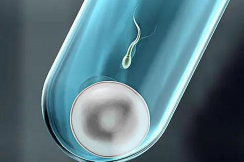 孕晚期喝红糖水补血吗