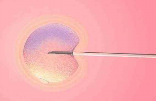 助孕咨询联系-培坤丸对备孕有啥作用，吃培坤丸有什么禁忌