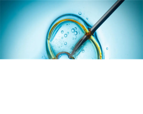 正规试管代怀:试管囊胚移植几天能测出来怀孕-试管怀孕多少天可以查出-试管婴儿移植后几天可以查出怀孕