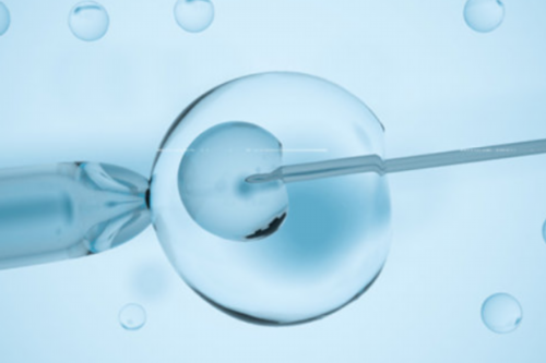 代孕包生女孩-HCG翻倍和孕酮的关系