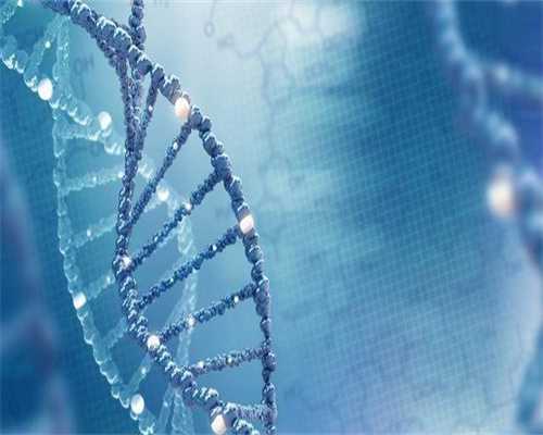 试管婴儿胎芽与胎心发育秘籍