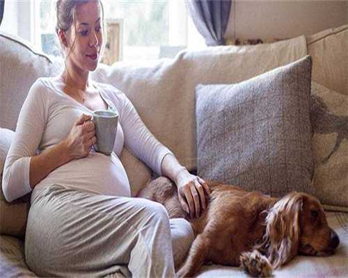 代孕供卵试管-子宫纵隔手术成功率大吗