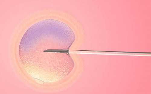 辅助生殖移植后的感觉