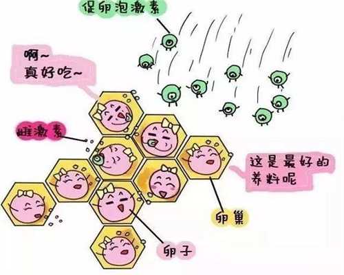 代孕套餐介绍:做试管为什么要降调?做试管婴儿为什么要先降调?