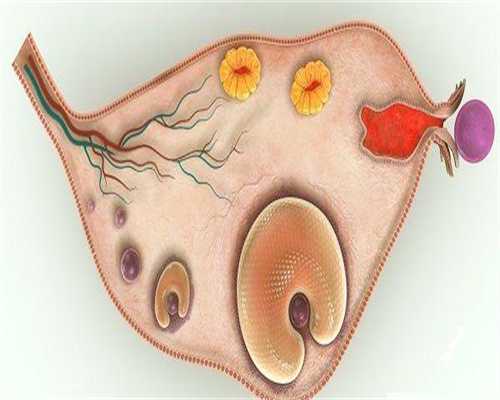 月经推迟腰疼怎么回事