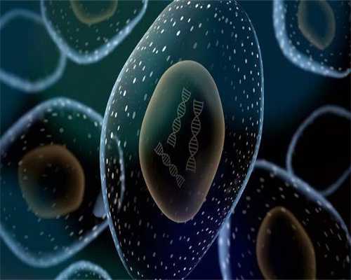 西安最大的助孕服务公司靠谱吗