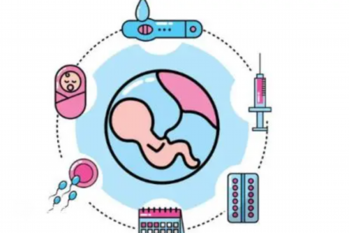 多囊的卵泡发育不成熟会萎缩吗?