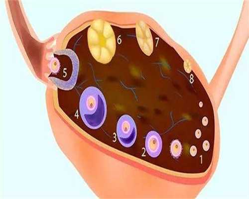 移植冻胚检测需要几天？