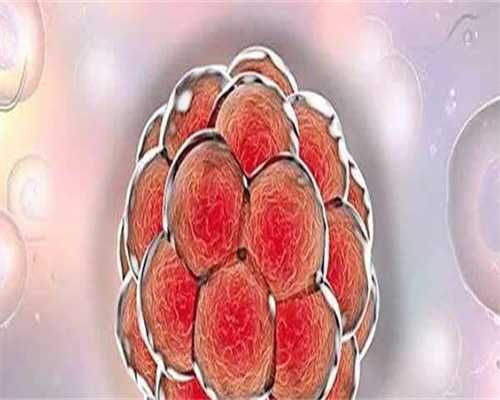 试管代生群-B超能检查出什么(b超检查有卵泡是什么？)