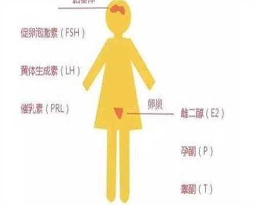 代生公司价格-不可做试管婴儿的情况有哪些？