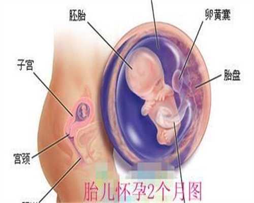 试管捐卵流程:备孕阶段吃叶酸片有助于怀孕吗