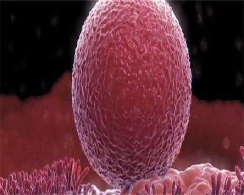 抗hcg抗体igg阳性是什么意思