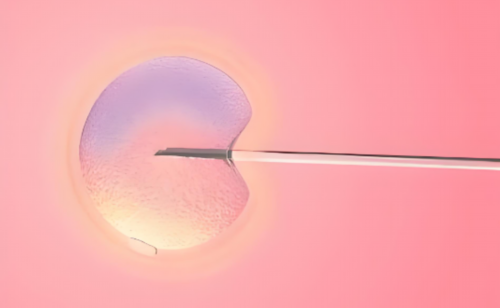 试管婴儿成功经验分享?有没有卵巢早衰，试管婴儿成功的分享一下经验，试管