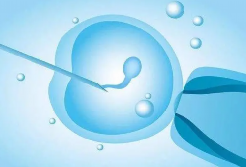 供卵代孕机构:辅助生殖可以怀多胞胎吗,有什么风险?