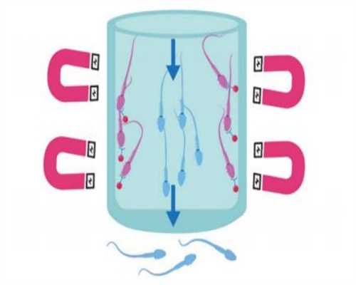 42岁做试管的成功几率知多少