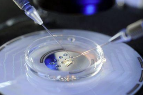 T细胞大颗粒细胞白血病,由病例分享谈起