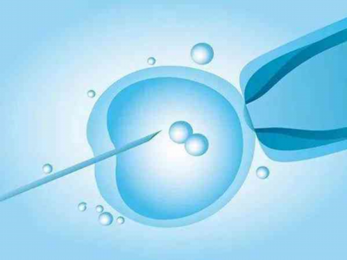 艾滋病可以做试管(艾滋病可以做试管吗)