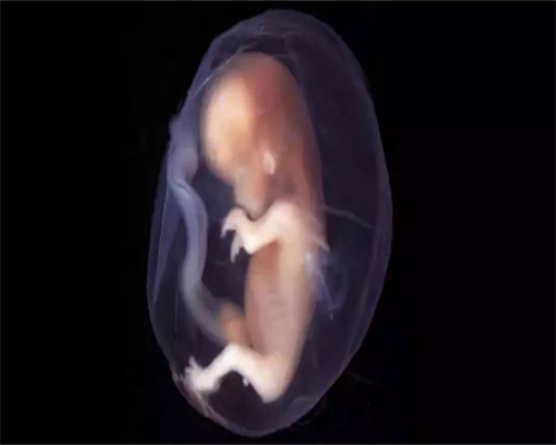 代孕包生孩子-人工授精影响以后怀孕吗-人工授精后是否影响自然怀孕