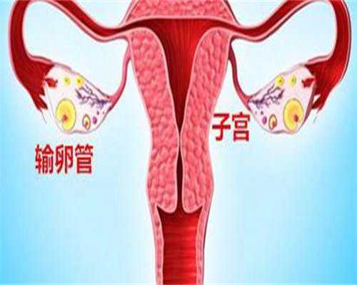 借卵自怀条件:移植鲜胚8天白板但双胞胎？8天白板怀了双胞胎