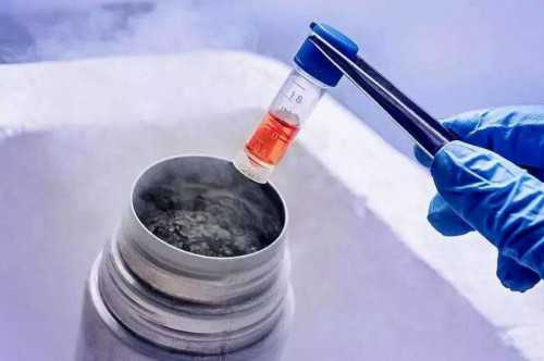 2026南京军区总医院试管婴儿日记,看完便知成功率怎么样