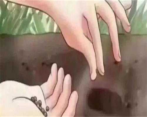 供卵价格高-输卵管积液只有做试管吗,输卵管积液一定要做造影吗