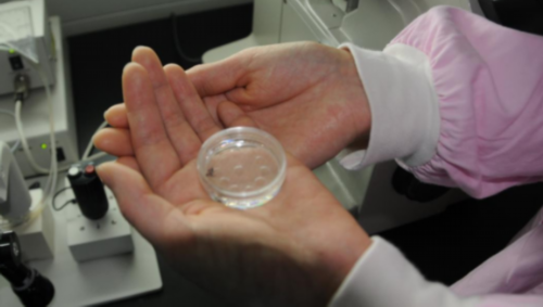 高龄女性如何延缓卵巢功能衰退