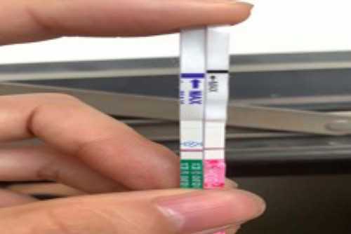 女人冻卵最佳年龄