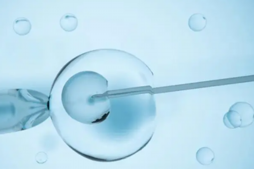 借卵试管排名:试管婴儿胚胎销毁规定，销毁胚胎需不需要双方到场？