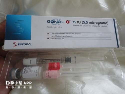 代生包儿子-怀孕后巧克力囊肿会萎缩吗