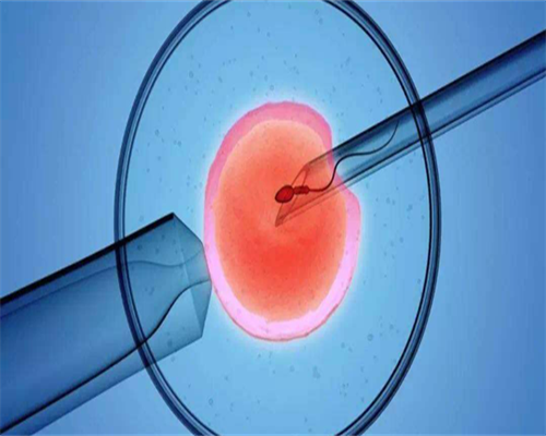 相关如何提高怀孕几率,备孕一个月没怀上的原因