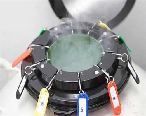 代生要多少钱-试管都做几次B超:试管婴儿什么时候可以做b超