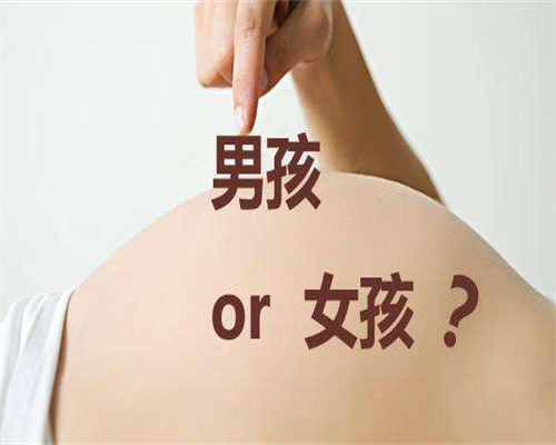 供卵代孕机构:试管移植怀孕后3个月能吃香蕉吗?