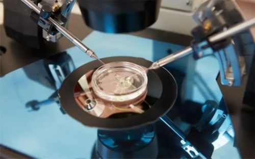 试管婴儿详细流程及时间表