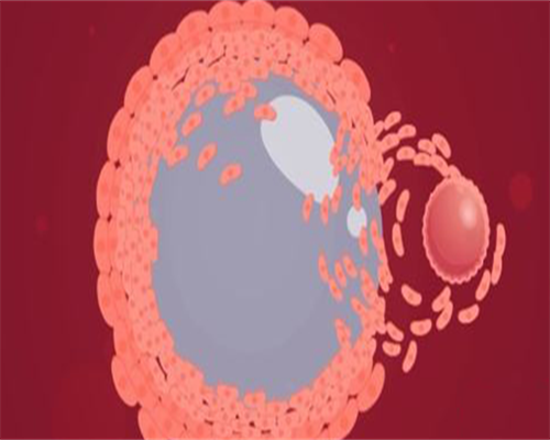 代生要多少钱-男性备孕不能吃什么药，男性备孕吃什么药提高受孕率