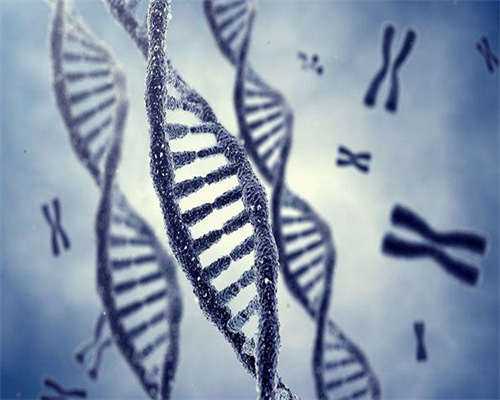 试管代生女孩-移植失败后怎样快速恢复卵巢 有哪些方法