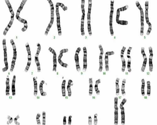 试管人工周期冻胚移植的最佳时间是在什么时候?冻胚移植时间怎么确定?