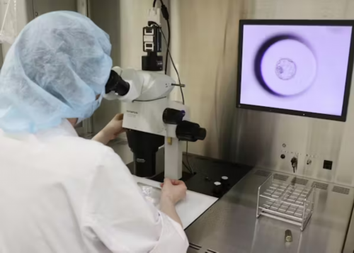 试管婴儿移植失败后的卵巢快速恢复指南:2026版