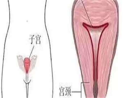 试管人工周期10000绒推广后多久可以确定移植时间?
