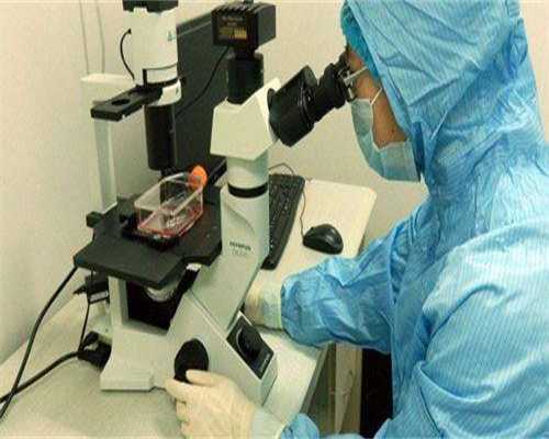 供卵代生网-孕8周hcg值下降正常吗