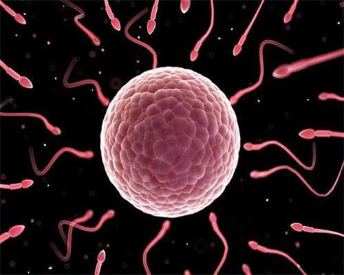试管拮抗剂方案促排采卵费用参考 附拮抗剂方案促排过程介绍