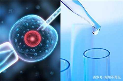 代孕套餐介绍-无创DNA检查胎儿5号染色体异常算严重的吗？