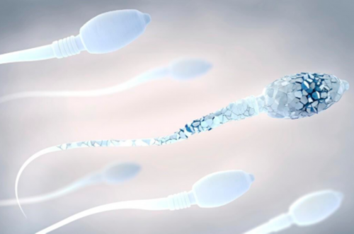 促排用生长激素有什么作用(卵泡生成激素是什么)