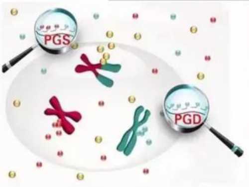 人工授精怎么算孕期时间，人工授精怀孕怎么算天数