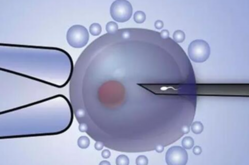 十大粗粮孕妇坚决不能吃（孕妇不能吃什么）