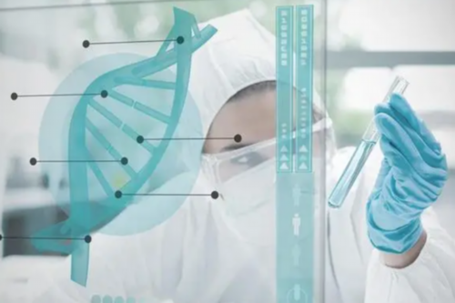 借卵保证成功-碱性磷酸酶高的危害,碱性磷酸酶高的原因