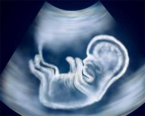 帮人代生费用-女性尿道感染会影响怀孕吗?