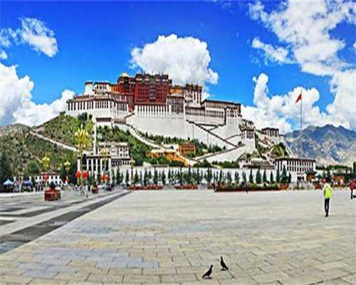 备孕b超检查什么项目（怀孕多久可以做b超）