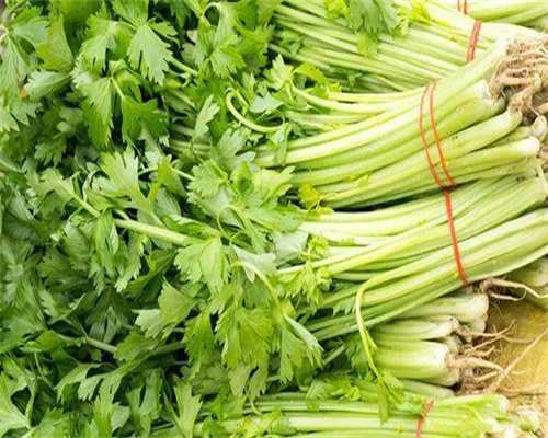 借卵自怀条件-试管需要检查子宫动脉嘛?试管需要做子宫动脉检查